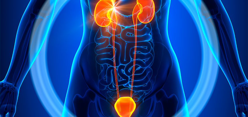 Infecções urinárias e próstata