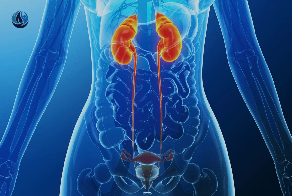 Doença renal e sistema urinário